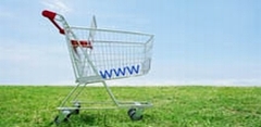 Domain Registration